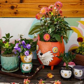 Planters with Personality