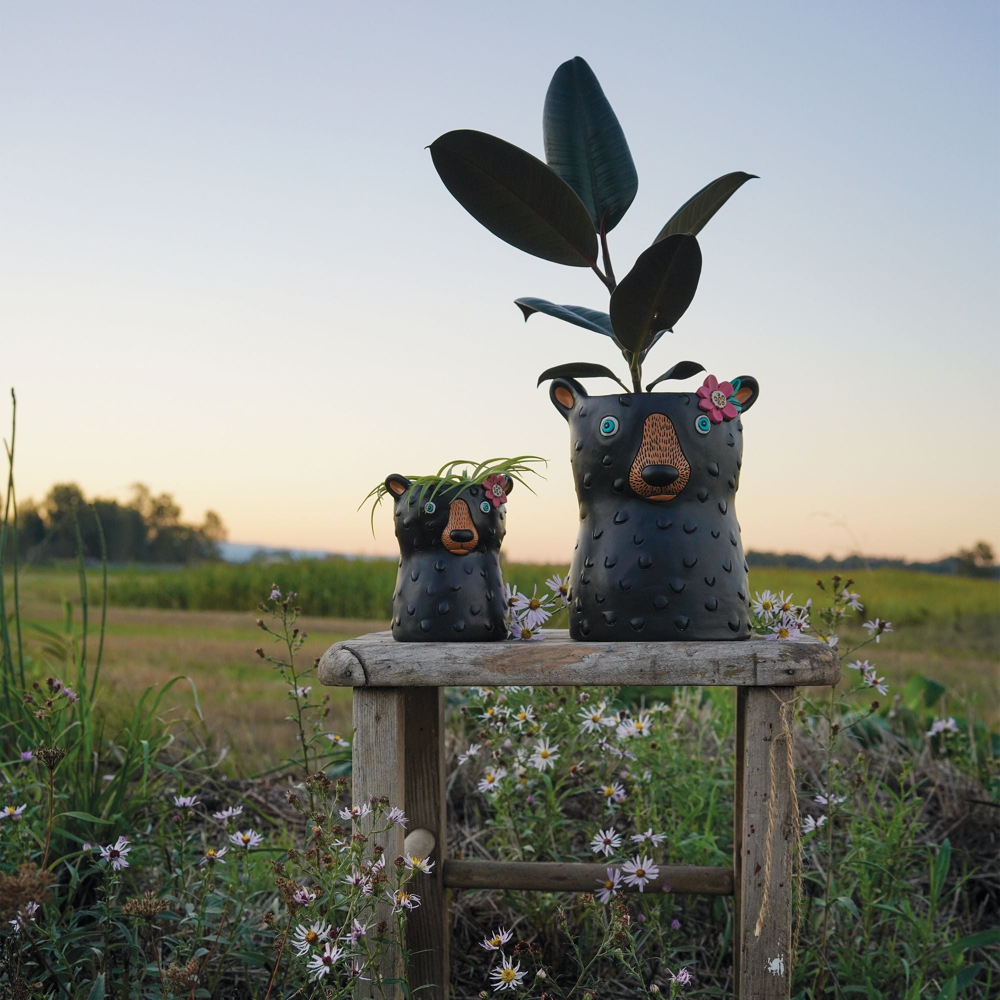 Black Bear Planter