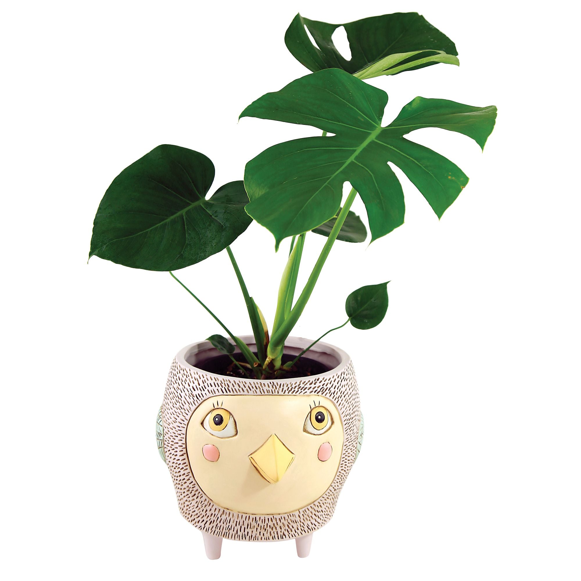 Birdie Super Planter